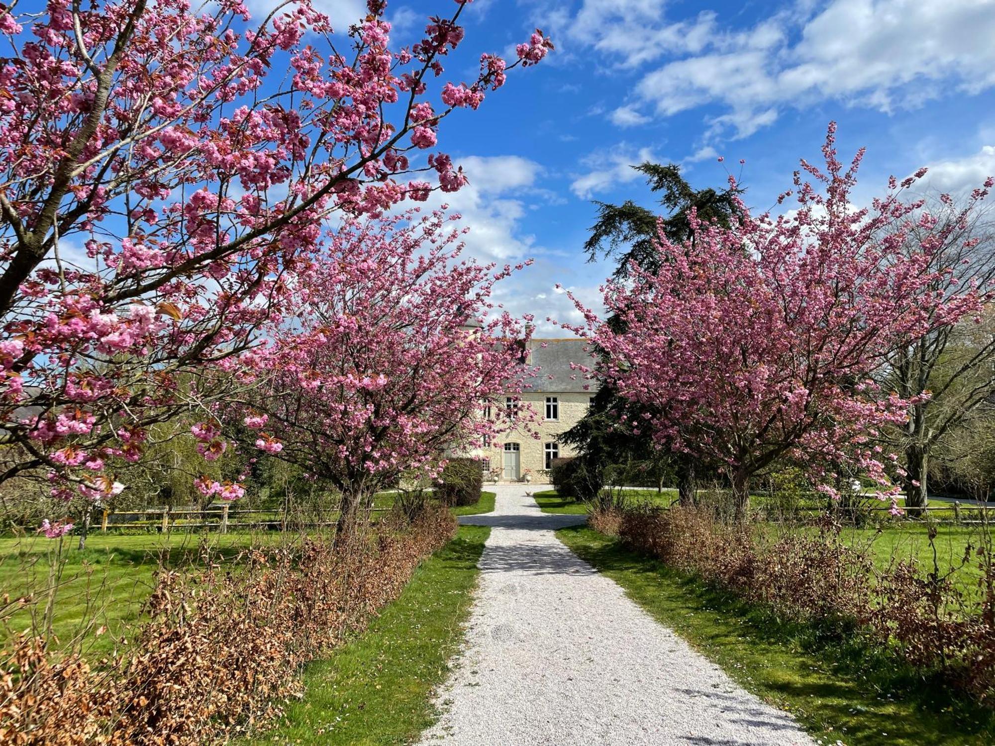 Chateau De Monfréville Екстериор снимка